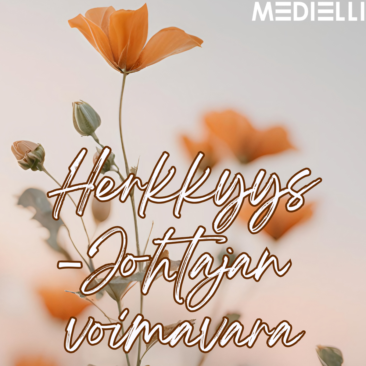 Herkkyys on johtajan voimavara